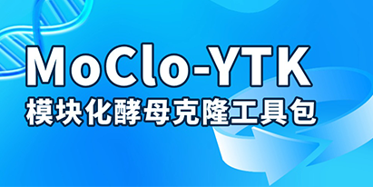 基因组装神器—MoClo-YTK 模块化酵母克隆工具包