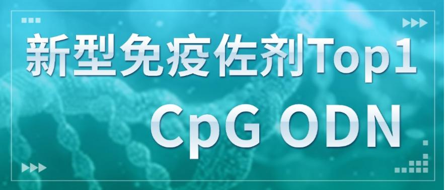 新型免疫佐剂Top1—CpG ODN