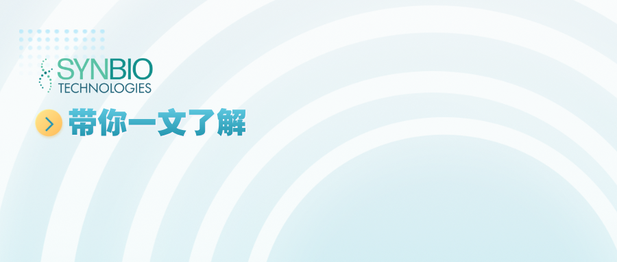 科学分析常见胶原蛋白产品的4大误区！
