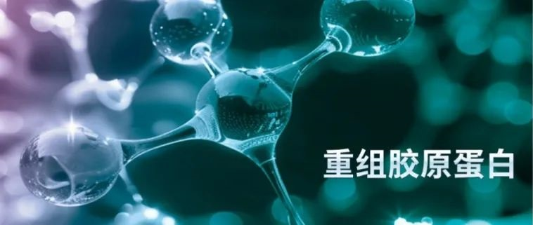 从实验室“出走”，勇闯江湖