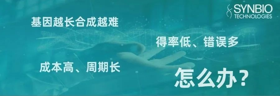 超长DNA合成技术来袭！告别碎片化时代！