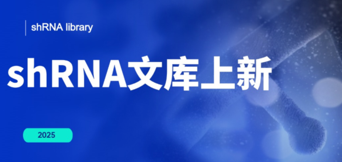 shRNA文库：基因组筛选与靶点发现的强大工具
