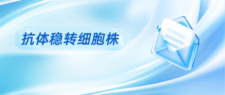 技术分享｜抗体稳转细胞株筛选全流程及案例解析