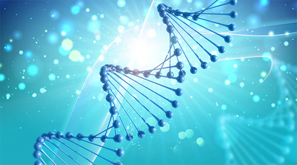 技术突破:荧光探针关键技术解析与优化实践