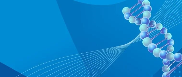 从YTK到MYT,模块化克隆工具包如何赋能酿酒酵母的工程化