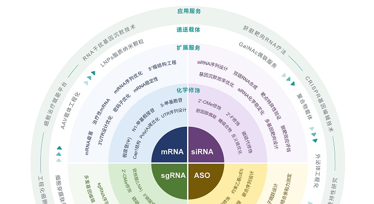 RNA 那些事儿 | 合成生物学时代再看RNA 