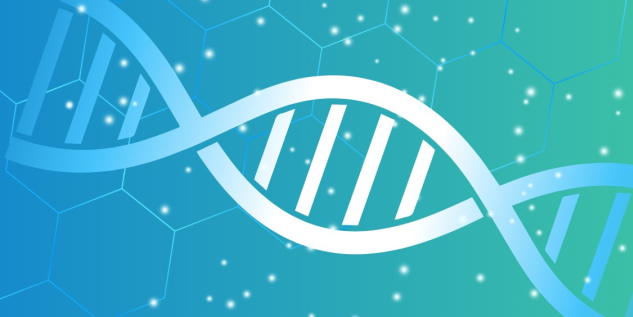 探针优化升级记：如何让qPCR更亮、更准、更稳？