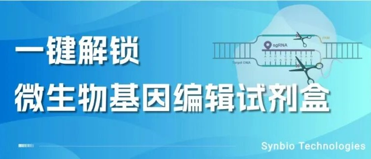 泓迅微生物基因编辑试剂盒:无痕、高效、多靶点,买一送一限时体验