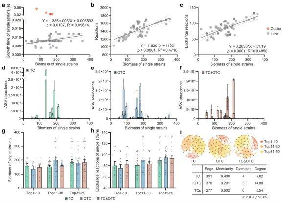 驯化群落中优势微生物物种的计算建模