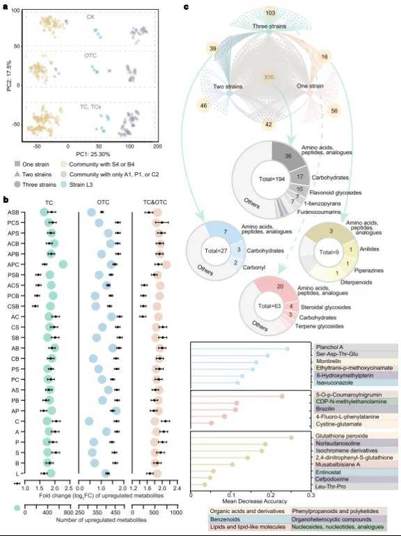 通过代谢组学分析鉴定关键代谢物